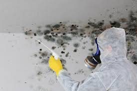  Millersburg, PA Mold Removal Pros